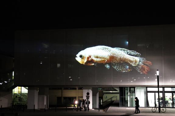 Projektion eines schwimmenden Fischs an der Fassade des Leibniz-Instituts für Alternsforschung - Fritz-Lipmann-Institut (FLI)