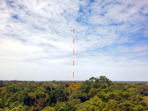 The 325-metre-high tower of the Amazon Tall Tower Observatory stretches far above the canopy of the Amazon rainforest. It allows scientists to study how the forest, atmosphere and climate influence each other.