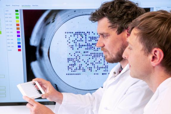 Wissenschaftler betrachten eine Microarray-Platte. Im Hintergrund ist eine Nahaufnahme eines einzelnen Microarrays für diagnostische Zwecke zu sehen.