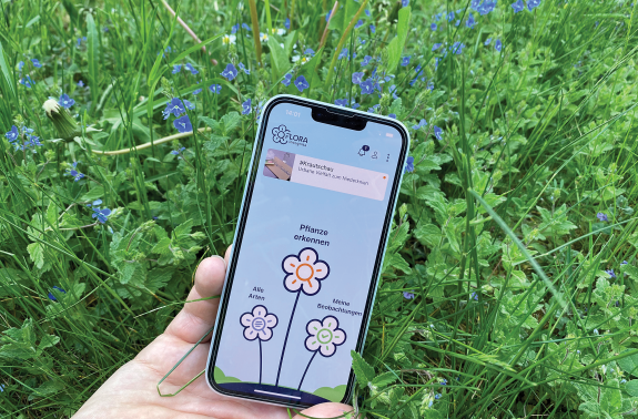 Mit dem Handy ein Foto von der Pflanze aufnehmen und von der Flora Incognita App analysieren lassen