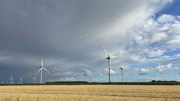 Eine Reihe von Windenergieanlagen an einem Getreidefeld 