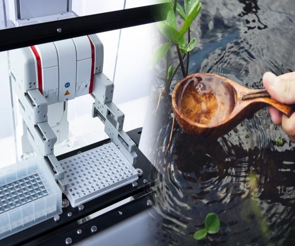 Laborführung: Das Leben im Wasser und Robotik im Labor