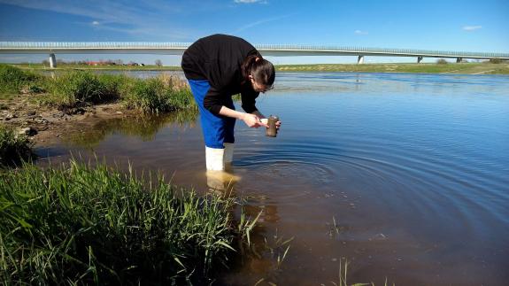 Mikrobenjägerin sammelt in einem Fluss Sedimentproben