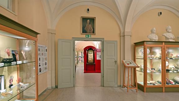 Die Dauerausstellung Anatomischen Sammlung der Friedrich-Schiller-Universität und des Universitätsklinikums Jena ist vollständig überarbeitet und neugestaltet worden. Sie ist im Institut für Anatomie am Teichgraben 7 ab Juni 2022 regelmäßig geöffnet.