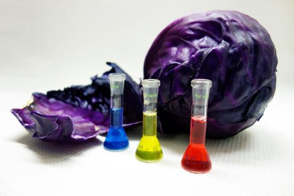 Rotkohl und seine Farbstoffe bei unterschiedlichen pH-Werten.