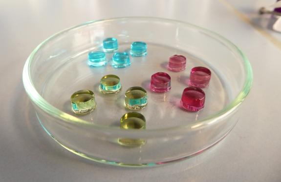 farbige Biopolymere in einer Petrischale