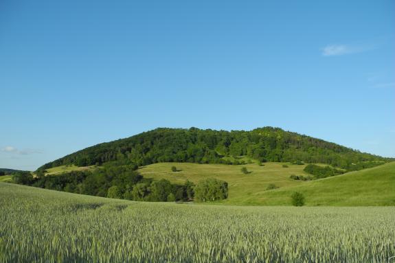 Der alte Gleisberg