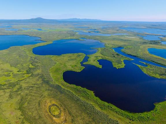 Viele arktische Landschaften bestehen aus einem dynamischen Mosaik verschiedener Teilflächen. Wie diese Dynamik die zukünftige Freisetzung von Kohlenstoff aus Permafrostböden beeinflussen wird, lässt sich derzeit aber nur schwer abschätzen.