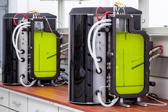 Flat-Panel-Photobioreaktoren zur Kultivierung von Mikroalgen
