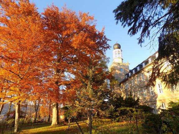 Foto des Instituts für Geowissenschaften mit Herbstlaub im Licht der Abendsonne