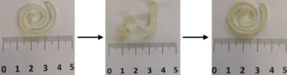 Drei Bilder zeigen den zeitlichen Ablauf eines Polymers, welches verformt wird und sich wieder in seine Ausgangsform regeneriert.
