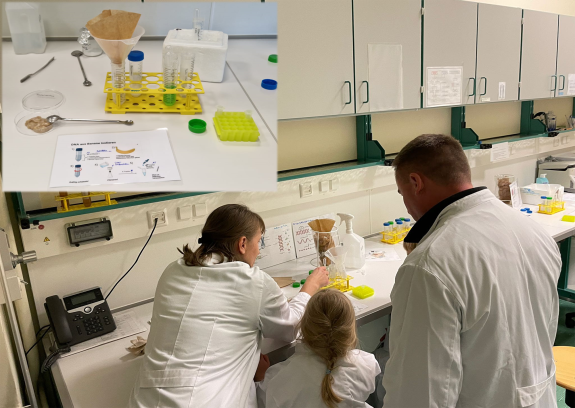 Holen wir die DNA aus unserem Lieblingsobst.