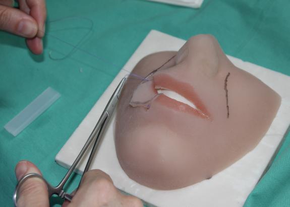 chirurgische Nahttechniken an anatomischen Trainingsmodellen