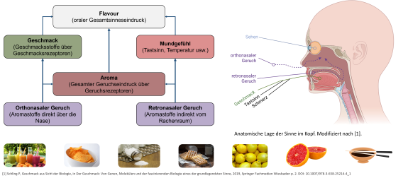 Die Grafik zeigt, wie Geschmack, Geruch, Aroma und Mundgefühl den Gesamteindruck (Flavour) einer Speise oder eines Getränks beeinflussen.