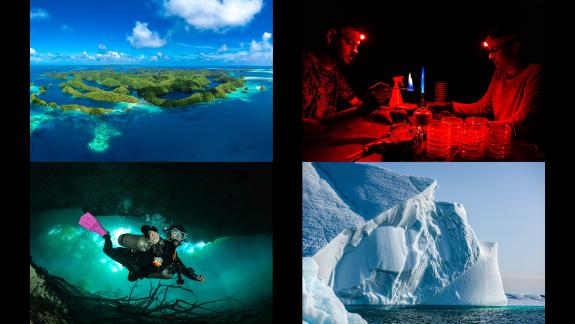 Bildcollage. Links oben: tropische Inseln im Meer, rechts oben: zwei Forschende mit Bunsenbrenner und Petrischalen, lins unten: Taucher unter Wasser, rechts unten: Eisberg.