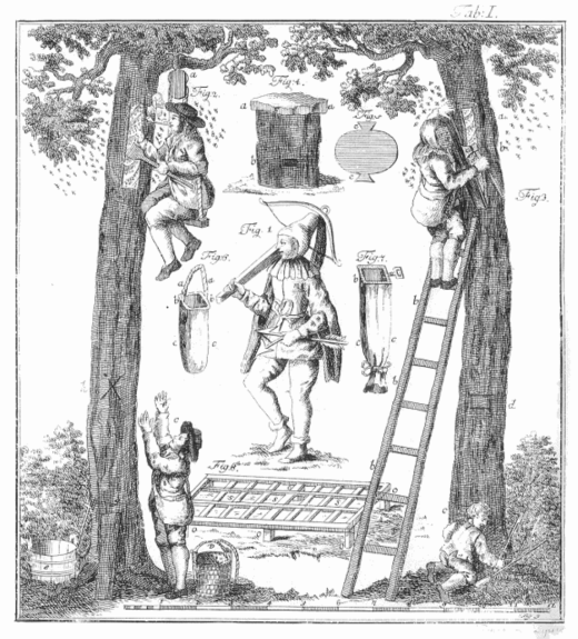 Darstellung der Mittelalterlichen Honigernte im Wald