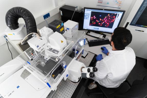 Laboratory work using a microscope and a computer