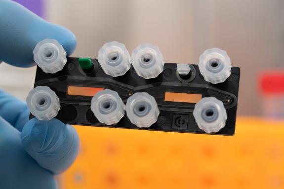 A hand wearing a blue glove is holding a black, rectangular ‘organ-on-a-chip’ model with several white connectors and two orange chambers.