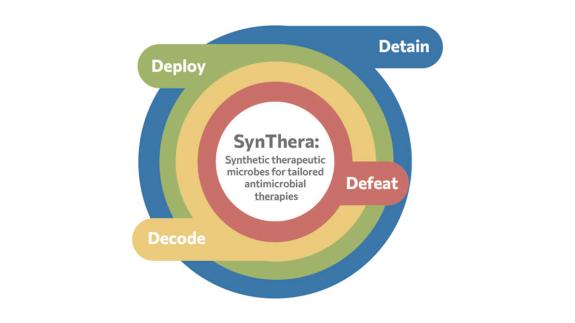 Synthera Logo