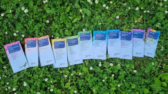 11 bunte Flyer liegen auf einer Wiese mit Klee und Gänseblümchen