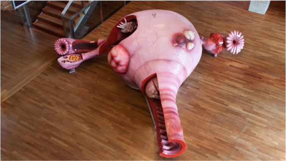 A walk-through model of a uterus
