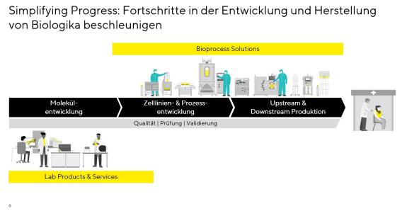Molekül-, Prozess und Produktionsprozessentwicklung