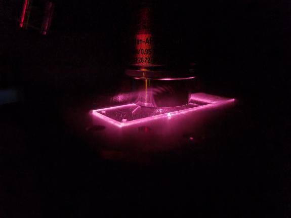 Lichttechnologien analysieren Immunzellen, Krankheitserreger und Entzündungsprozesse.